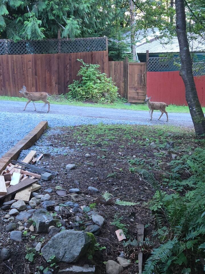 Cabin in Ashford, US