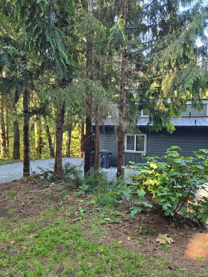 Cabin in Ashford, US