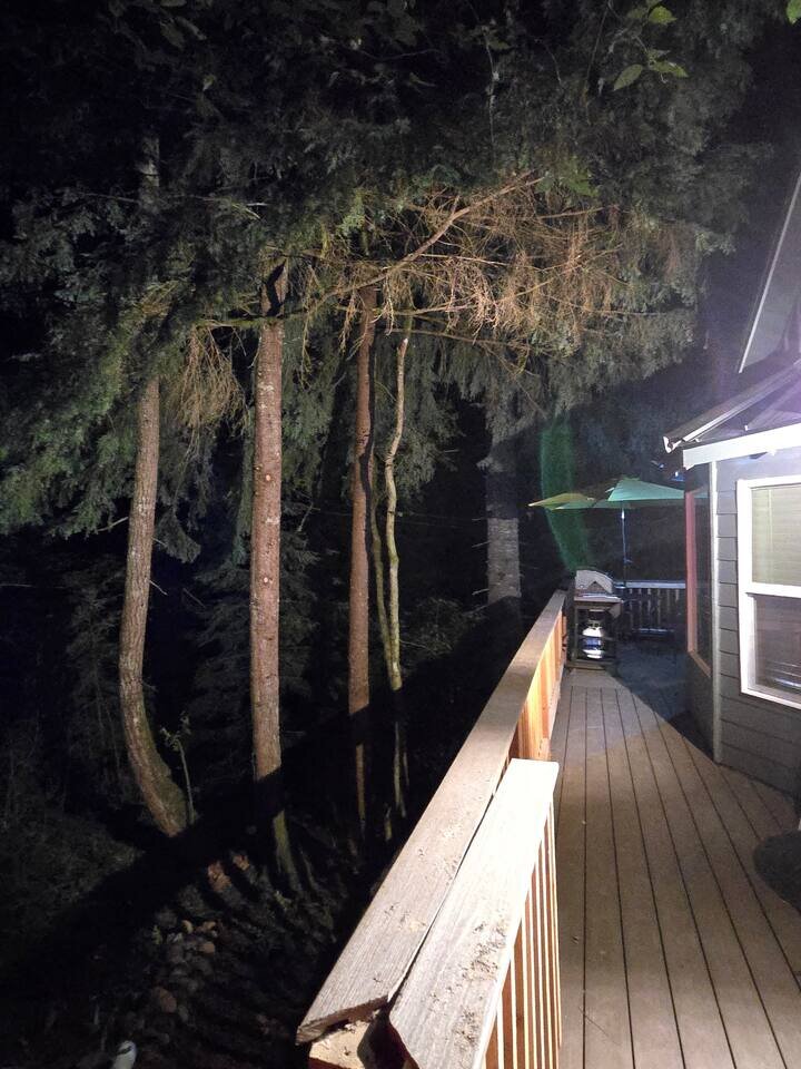 Cabin in Ashford, US