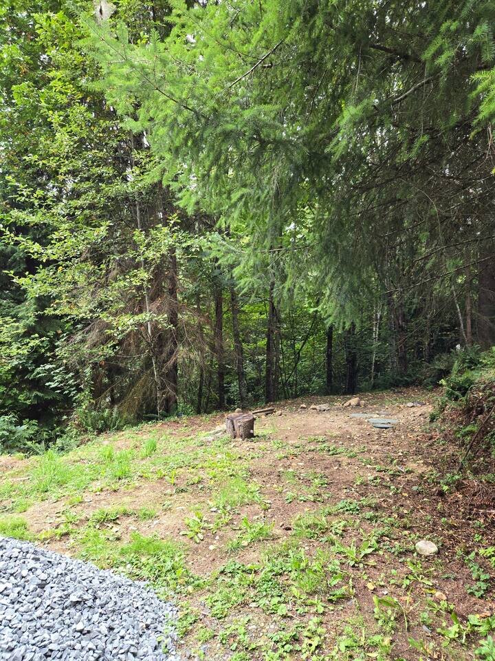 Cabin in Ashford, US