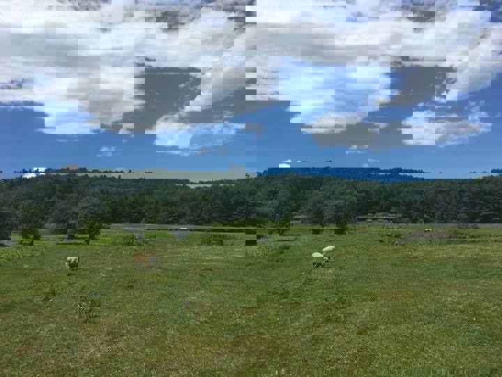 Farm stay in Hartland, US