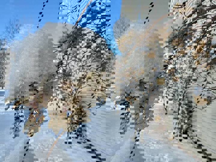 Farm stay in Hartland, US