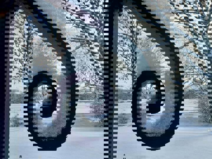 Farm stay in Hartland, US