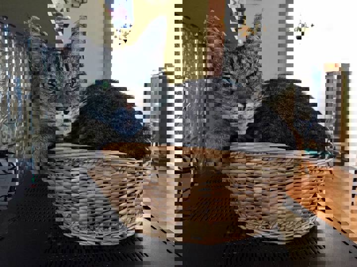 Farm stay in Hartland, US