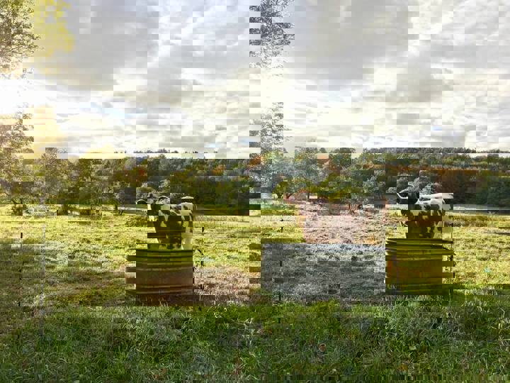 Farm stay in Hartland, US