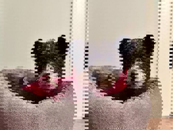 Farm stay in Hartland, US