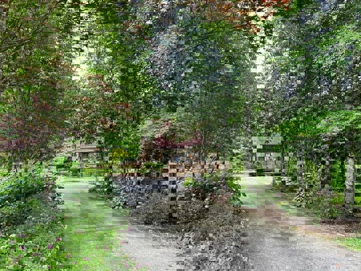 Home in Walhalla, US