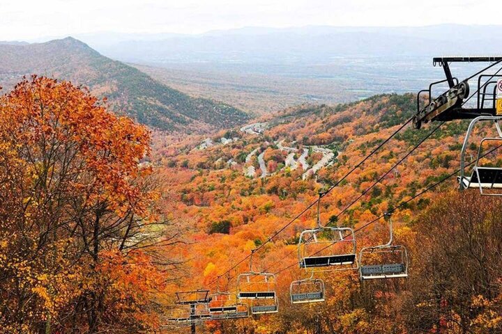 Cabin in McGaheysville, US