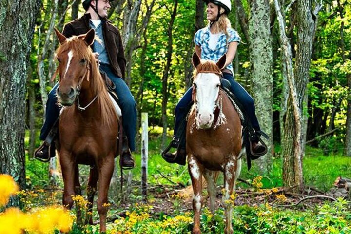 Cabin in McGaheysville, US