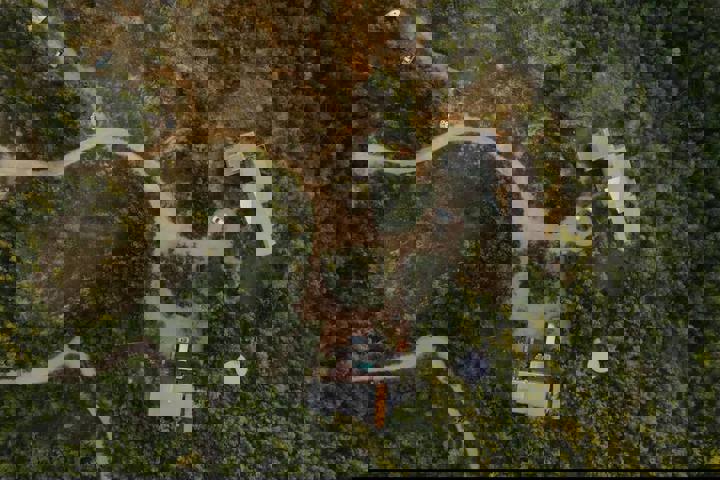 Home in Dripping Springs, US