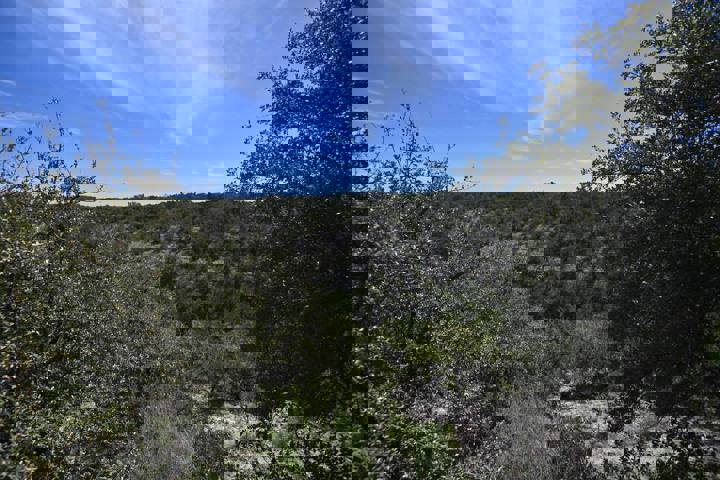 Home in Dripping Springs, US