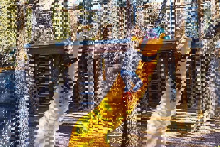 Home in Dripping Springs, US