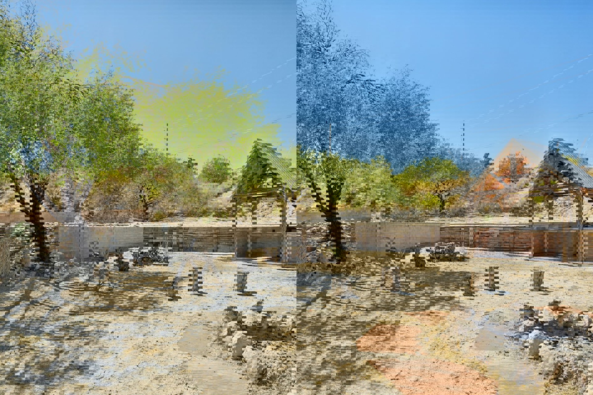 Image 49