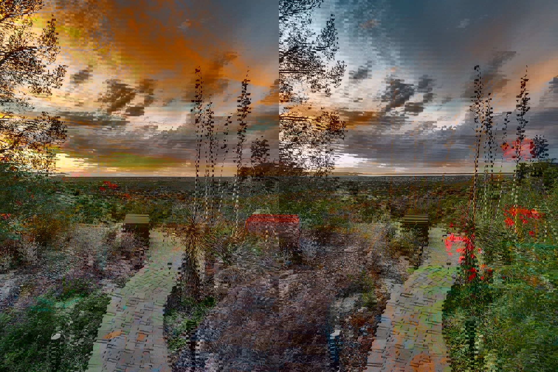 Image 54