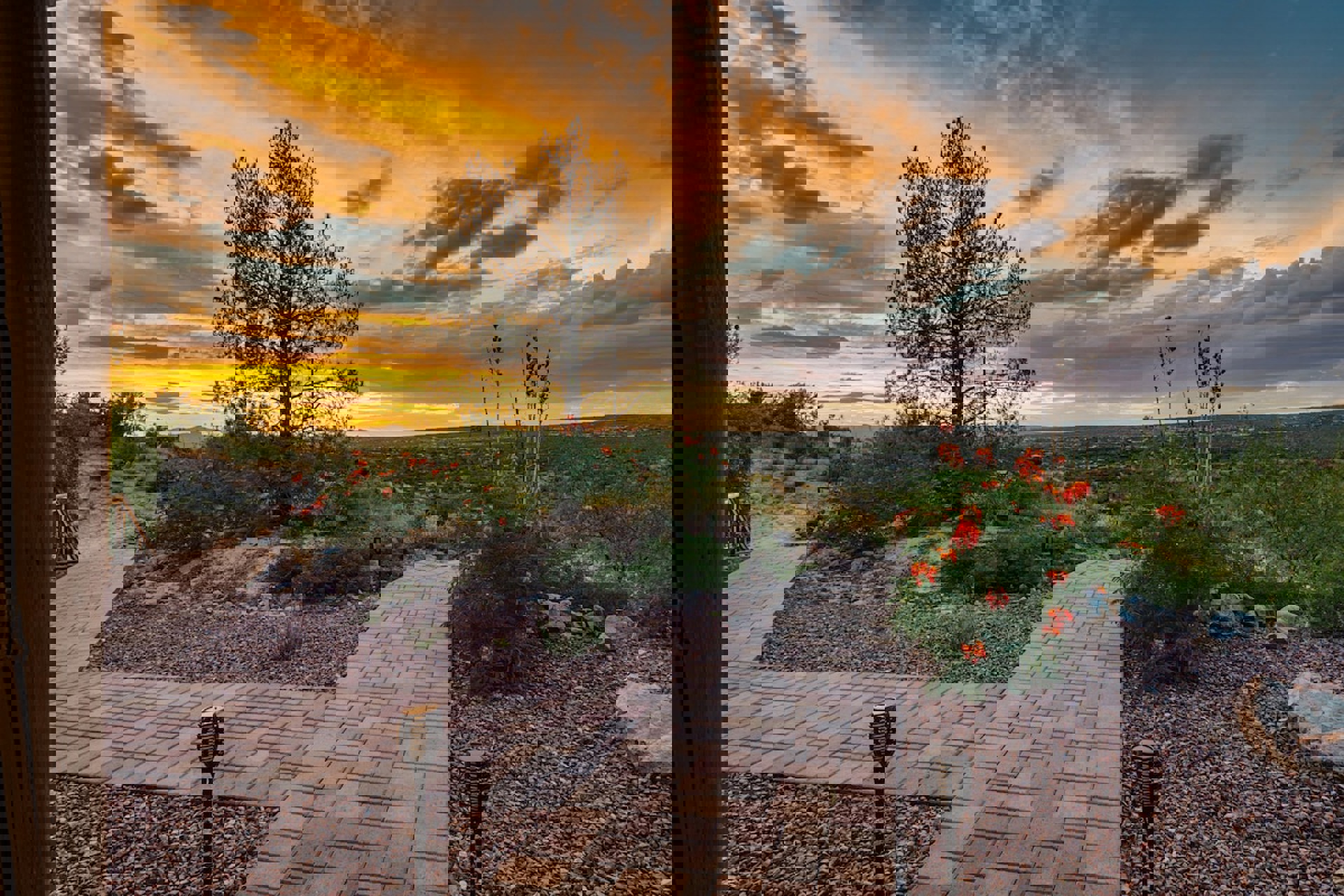 Image 59