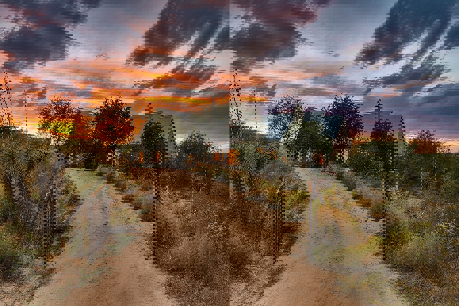 Image 75