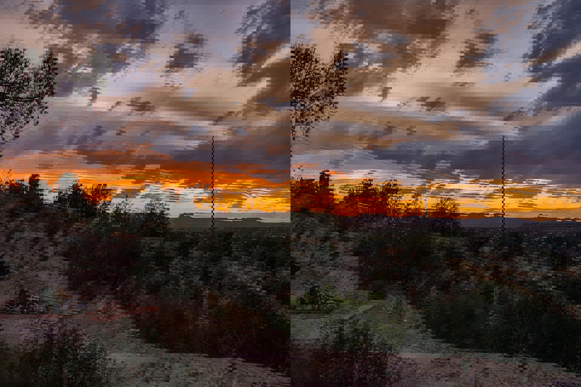 Image 89