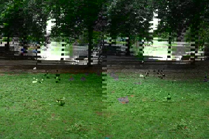 Rental unit in Dallas, US