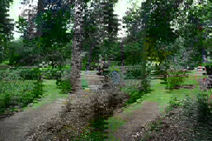 Rental unit in Dallas, US