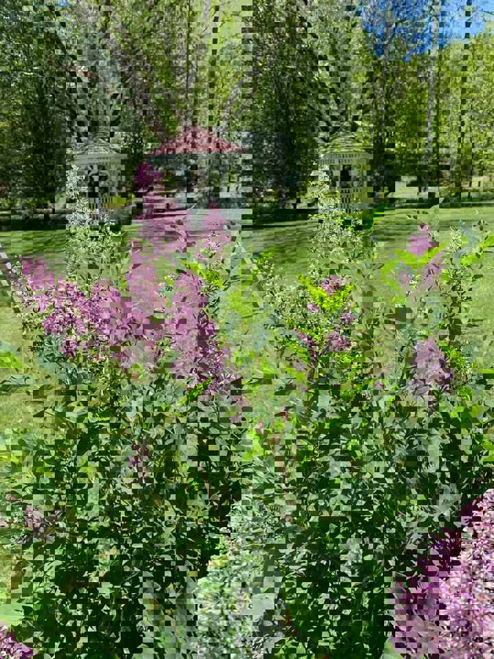 Cottage in Blairsville, US