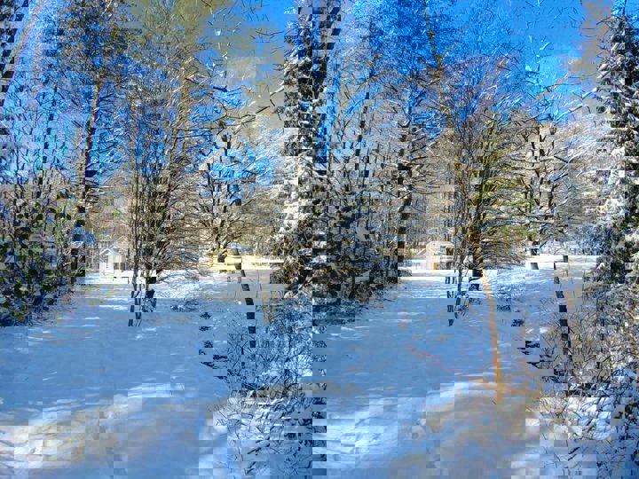 Cottage in Blairsville, US