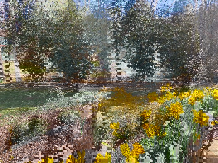 Cottage in Blairsville, US