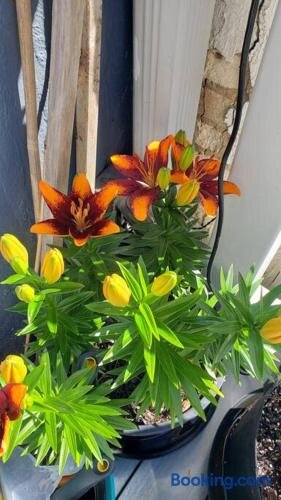 House in Washington, US