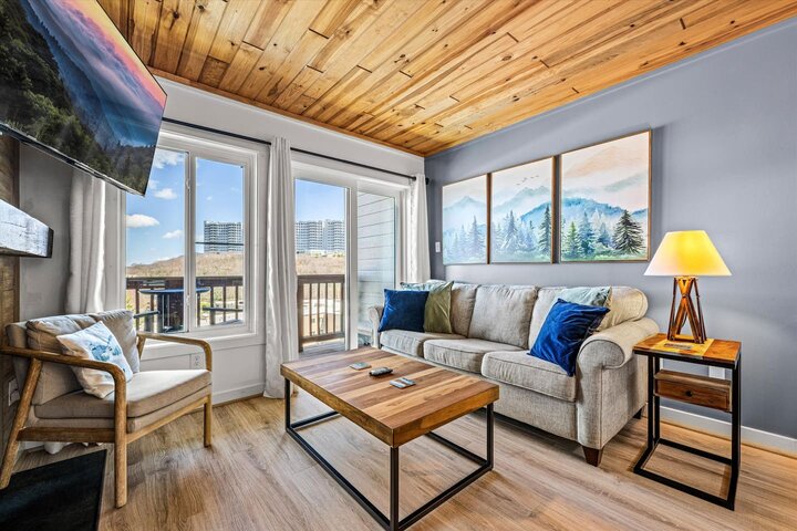 Apartment in Sugar Mountain, US