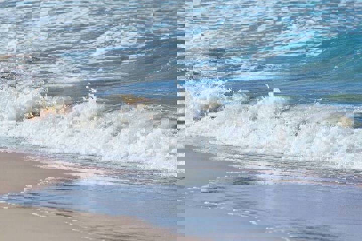 Villa in Isle of Palms, US