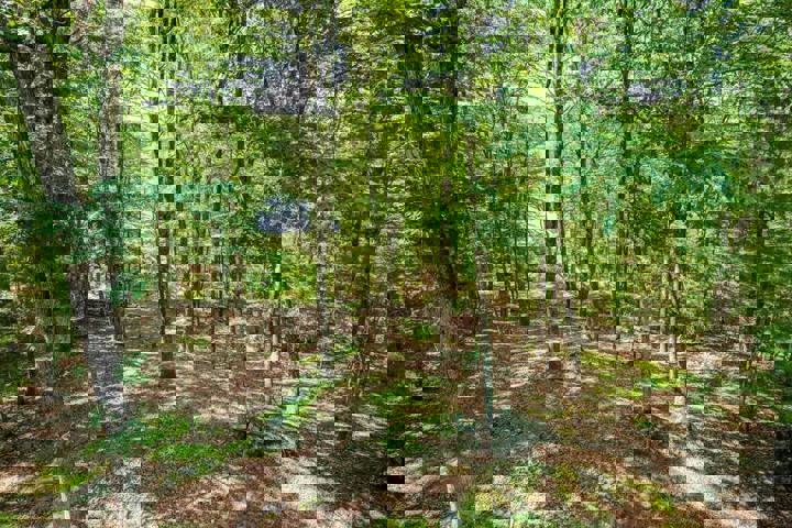 Home in Lackawaxen, US