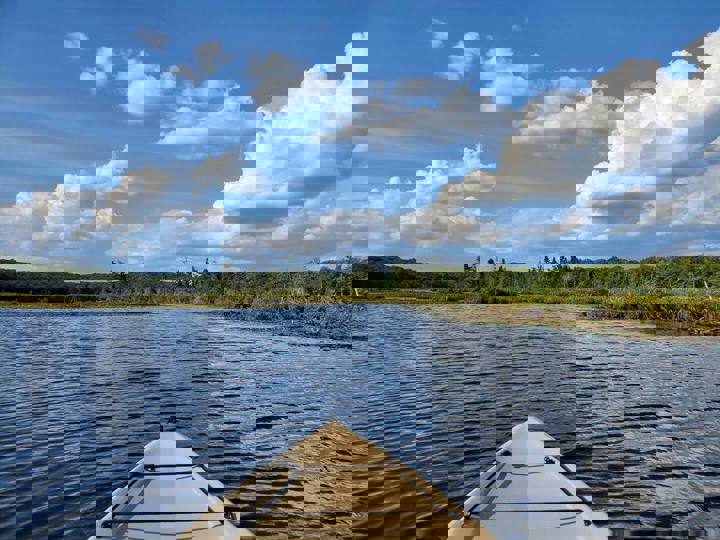 Home in Lackawaxen, US