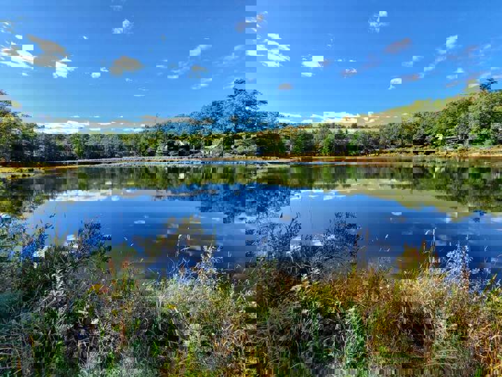 Home in Lackawaxen, US