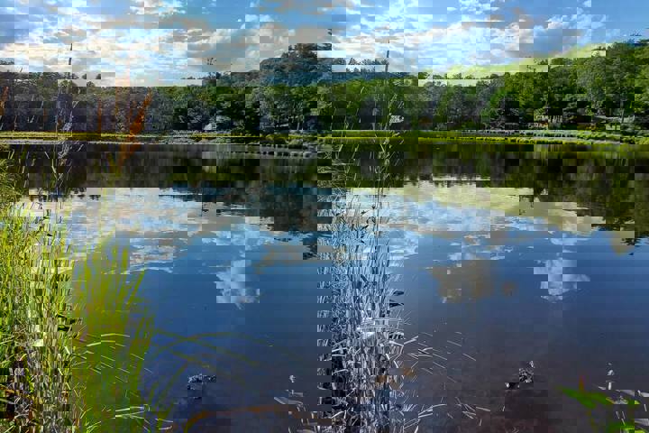 Home in Lackawaxen, US