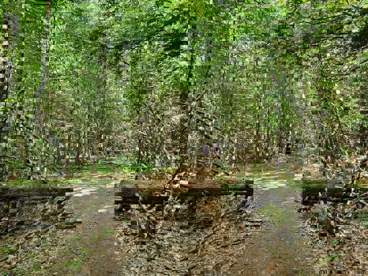 Home in Lackawaxen, US