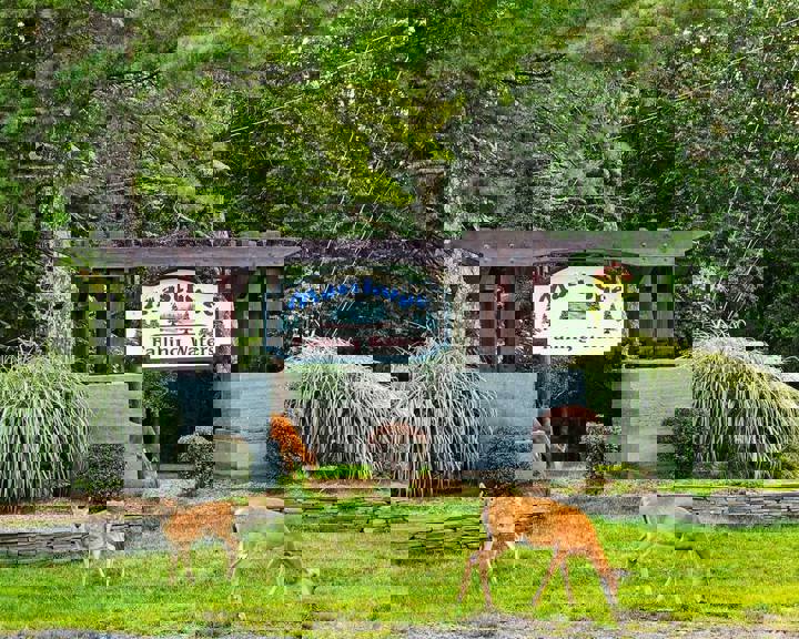 Home in Lackawaxen, US