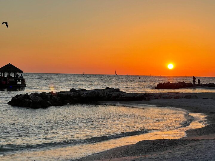 Apartment in Clearwater, US