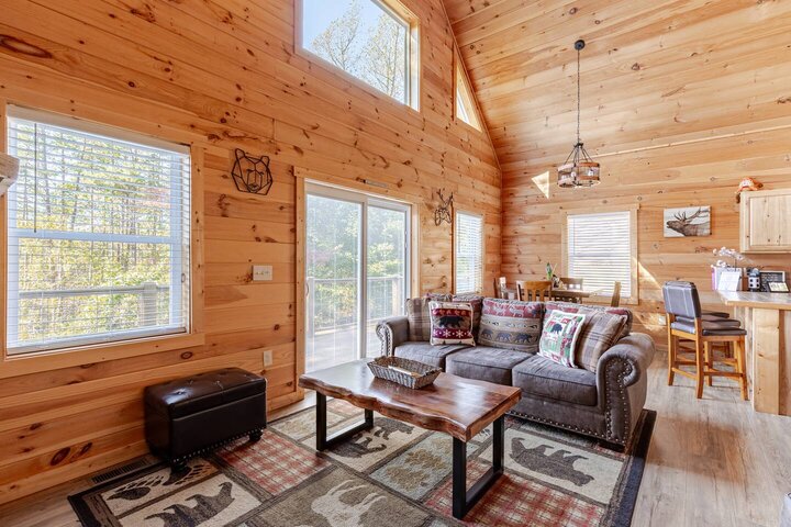 Cabin in Bryson City, US