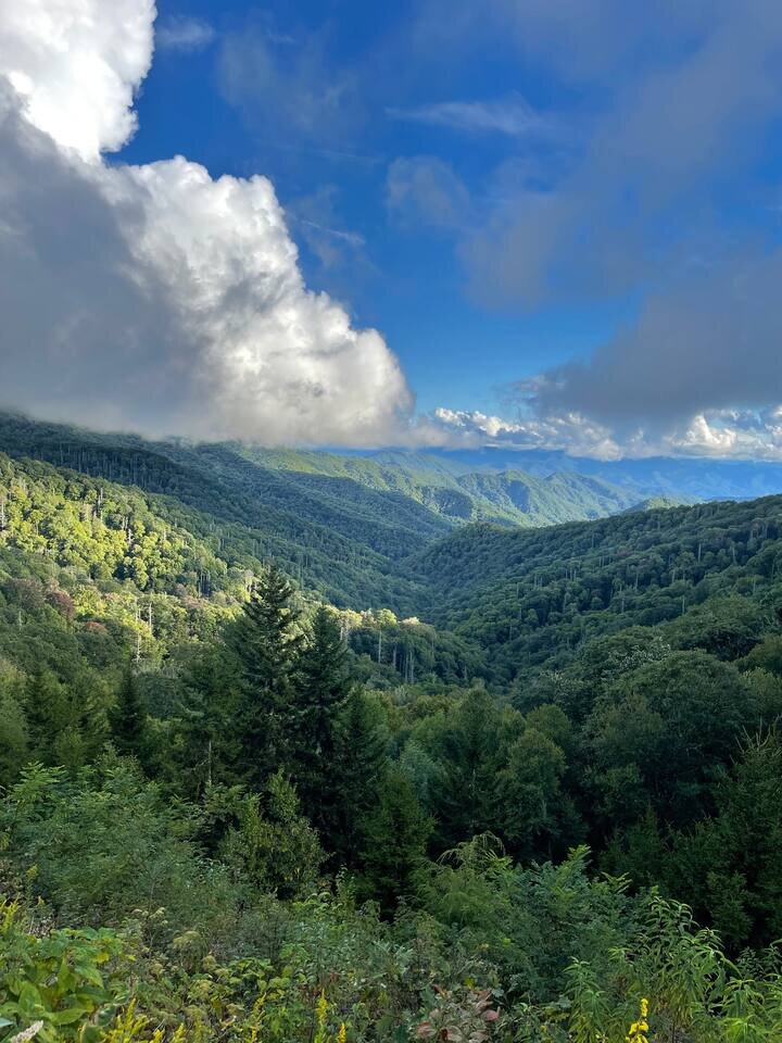 Cabin in Bryson City, US