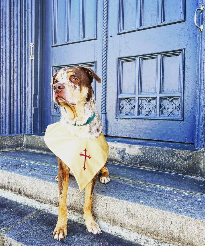 Religious building in Danville, US