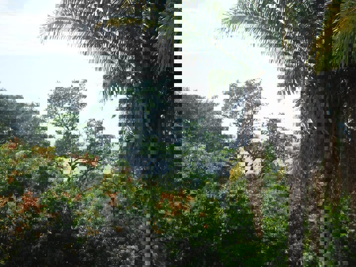 Guest suite in West End, Honduras