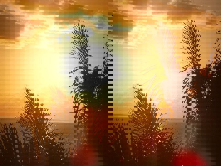 Guest suite in West End, Honduras