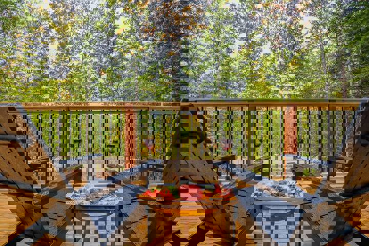 Chalet in Woodstock, US