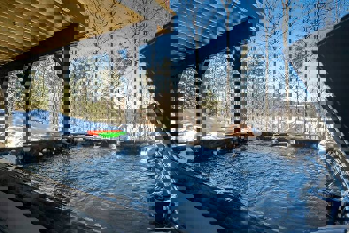 Chalet in Woodstock, US