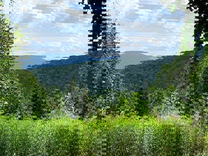 Home in Margaretville, US