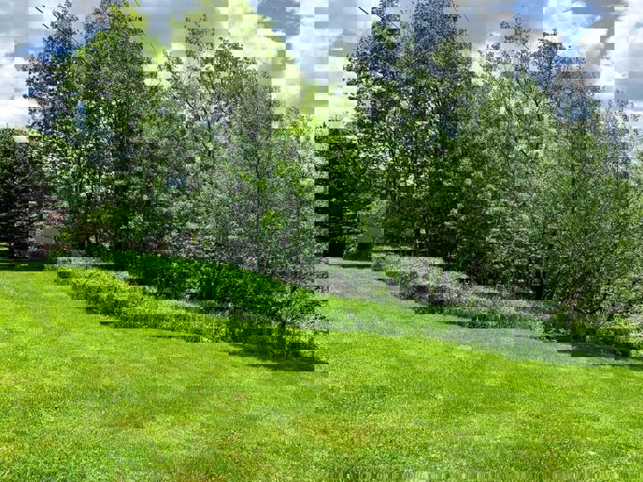 Home in Margaretville, US