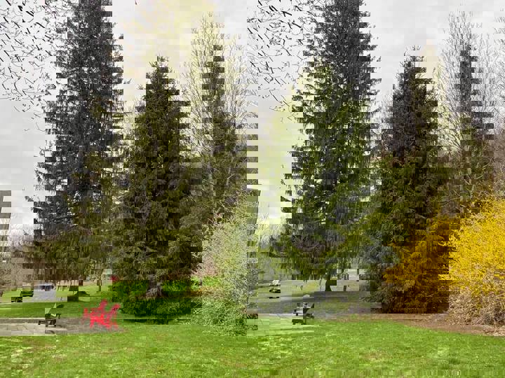 Home in Margaretville, US