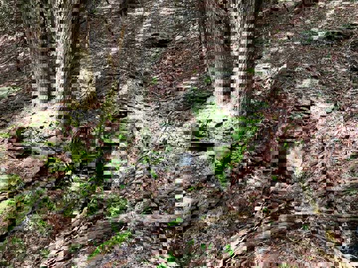 Home in Margaretville, US