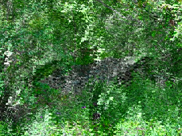 Home in Margaretville, US