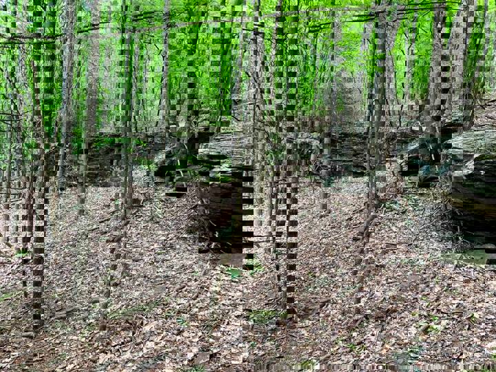 Home in Margaretville, US