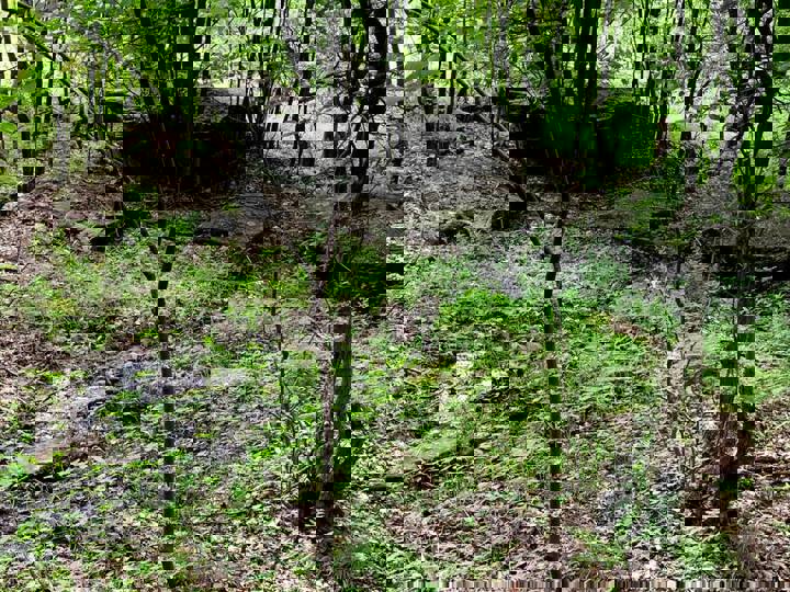 Home in Margaretville, US